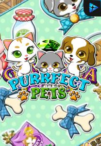 Bocoran RTP PURRFECT PETS di TOTOLOKA88 Generator RTP SLOT 4D Terlengkap